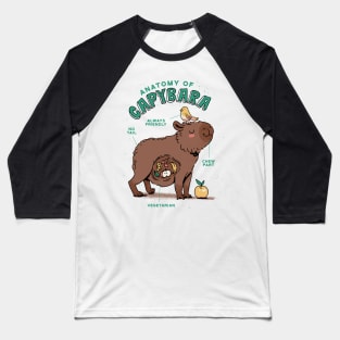 Capybara Anatomy Baseball T-Shirt